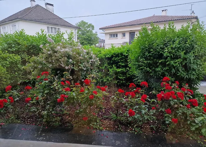 Maison Avec Exterieur Et Arrivee Autonome - Aurillac