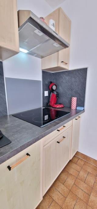 Maison Avec Exterieur Et Arrivee Autonome - * Aurillac